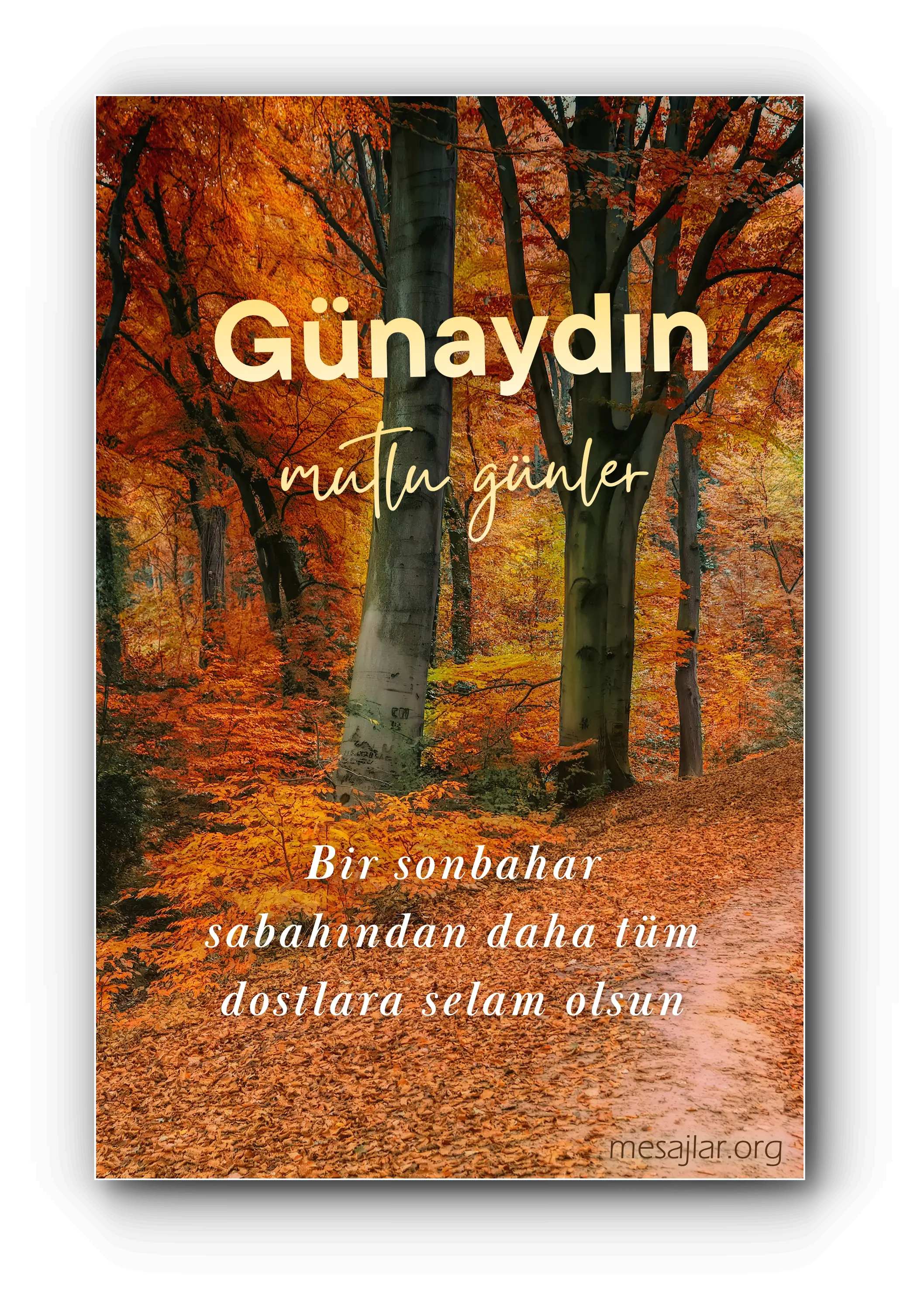 Dosta Arkadaşa Resimli Günaydın Mesajı