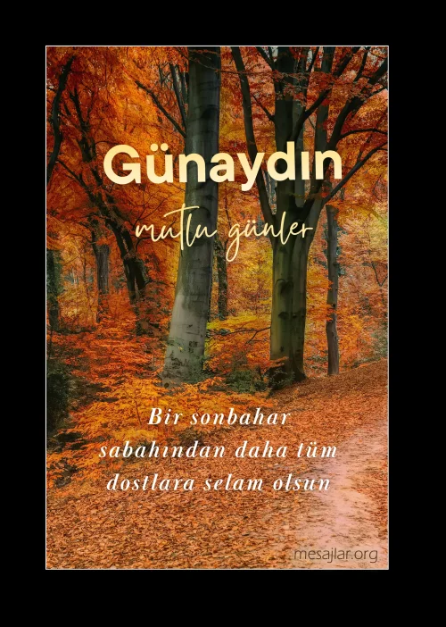 Dosta Arkadaşa Resimli Günaydın Mesajı