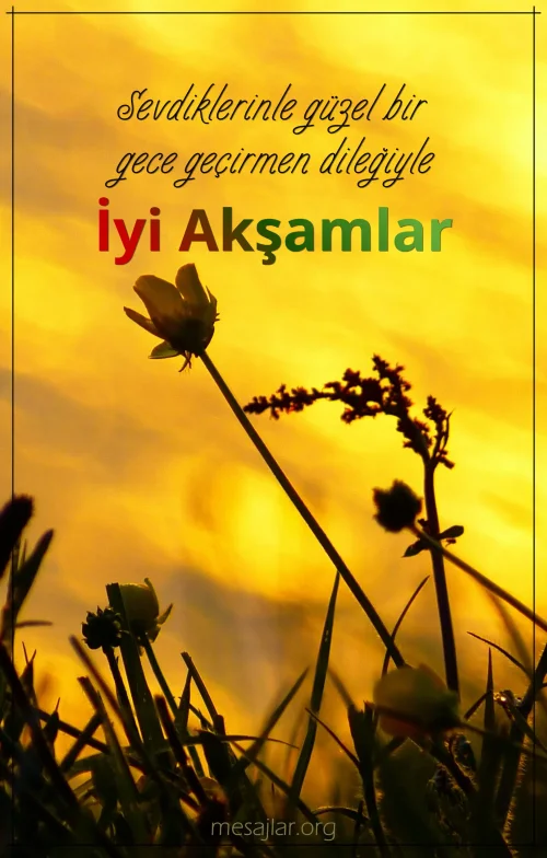 Sevdiklerinle güzel bir gece geçirmen dileğiyle